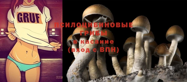 гашик Покачи