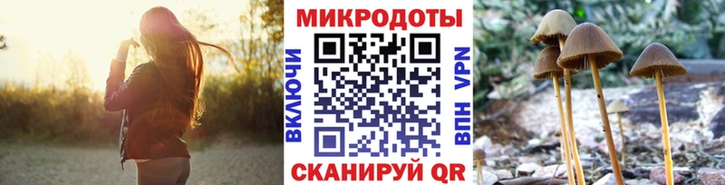 даркнет сайт  hydra зеркало  Галлюциногенные грибы Psilocybine cubensis  Лесозаводск 